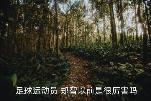 中國(guó)足球鄭智和鄭智化