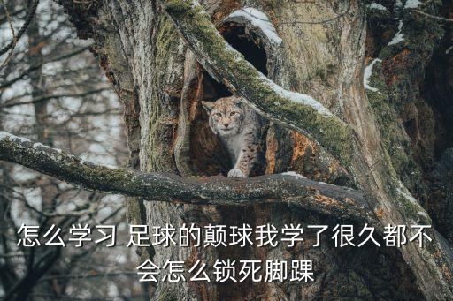 怎么學習 足球的顛球我學了很久都不會怎么鎖死腳踝