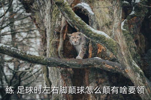 練 足球時左右腳顛球怎么顛有啥要領(lǐng)