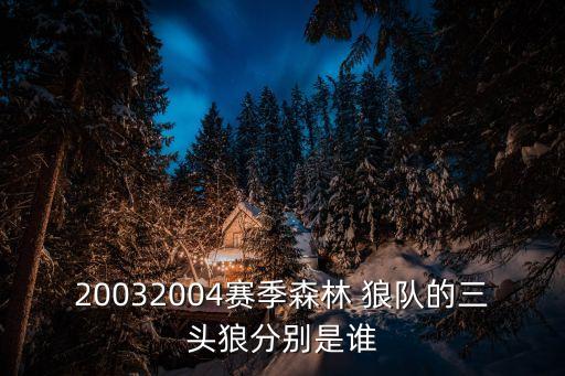 20032004賽季森林 狼隊(duì)的三頭狼分別是誰