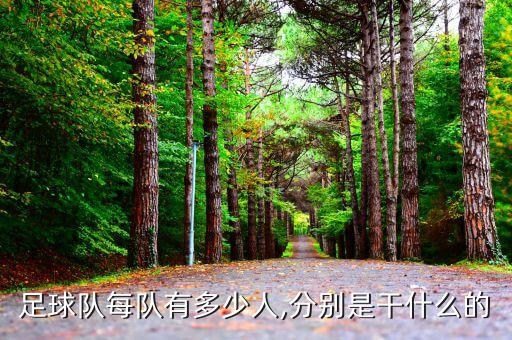 足球隊每隊有多少人,分別是干什么的