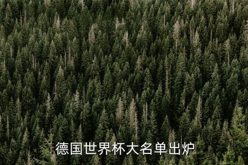  德國(guó)世界杯大名單出爐