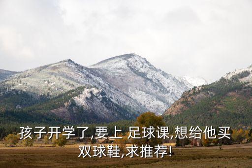 孩子開學(xué)了,要上 足球課,想給他買雙球鞋,求推薦!