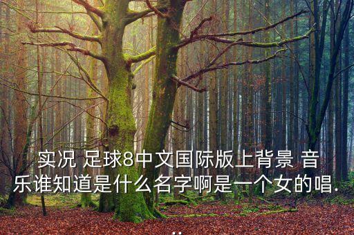 實(shí)況足球里的音樂(lè)