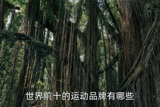 足球品牌標(biāo)志大全圖片,所有運(yùn)動(dòng)品牌標(biāo)志大全圖片及名稱