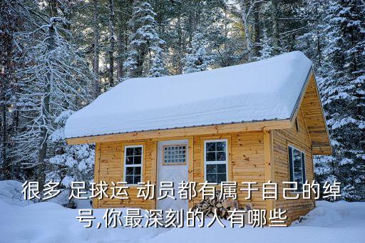 很多 足球運(yùn) 動(dòng)員都有屬于自己的綽號(hào),你最深刻的人有哪些