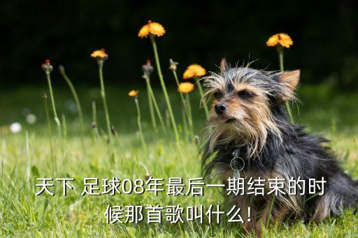  天下 足球08年最后一期結束的時候那首歌叫什么!