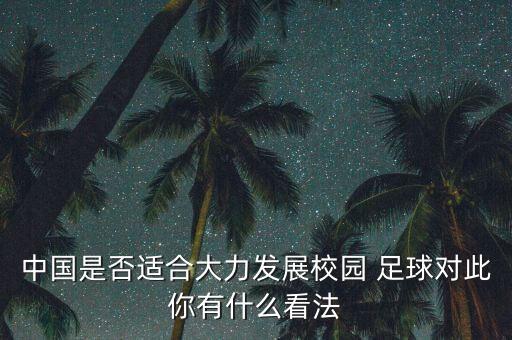 中國是否適合大力發(fā)展校園 足球?qū)Υ四阌惺裁纯捶? class=