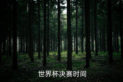  世界杯決賽時(shí)間