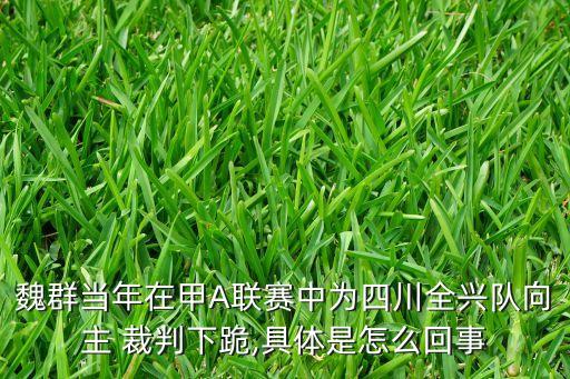 張雷足球裁判微博,足球裁判馬寧微博