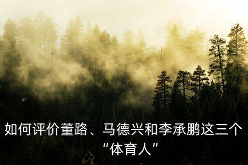 如何評價董路、馬德興和李承鵬這三個“體育人”