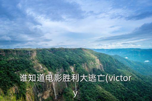 誰知道電影勝利大逃亡(victory