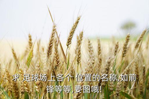 求 足球場上各個 位置的名稱,如前鋒等等,要圖哦!