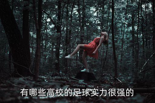有哪些高校的足球?qū)嵙軓?qiáng)的