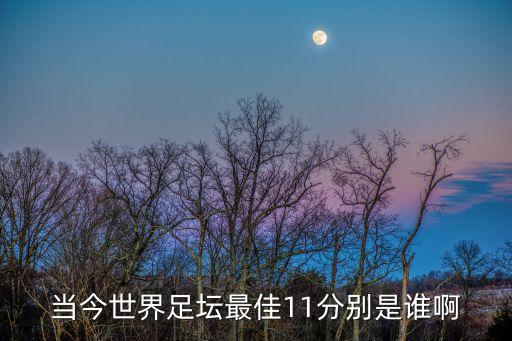 當(dāng)今世界足壇最佳11分別是誰啊