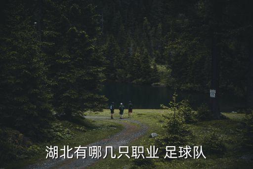 湖北有哪幾只職業(yè) 足球隊