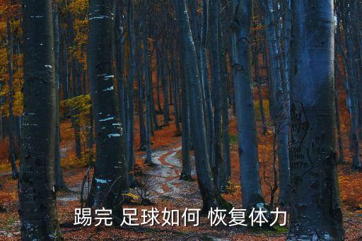 踢完 足球如何 恢復體力