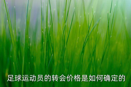  足球運(yùn)動(dòng)員的轉(zhuǎn)會(huì)價(jià)格是如何確定的