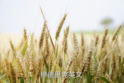 英語(yǔ)足球運(yùn)動(dòng)員簡(jiǎn)介,最喜歡的足球運(yùn)動(dòng)員是誰(shuí)?英語(yǔ)怎么讀