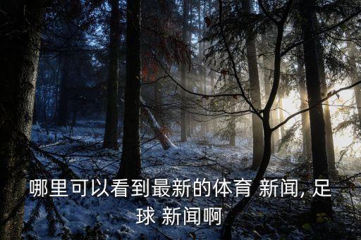 哪里可以看到最新的體育 新聞, 足球 新聞啊