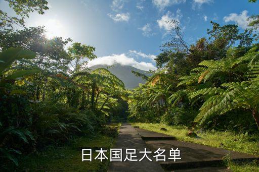  日本國足大名單