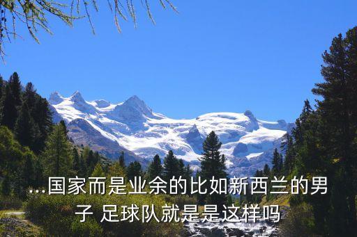 ...國家而是業(yè)余的比如新西蘭的男子 足球隊就是是這樣嗎