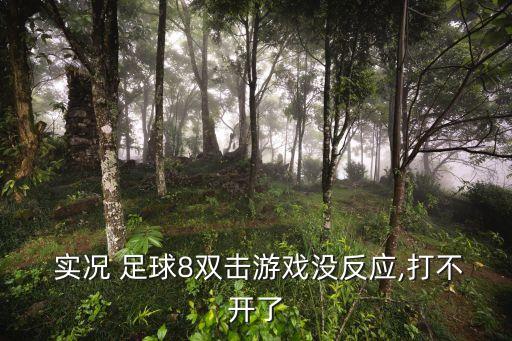  實況 足球8雙擊游戲沒反應(yīng),打不開了