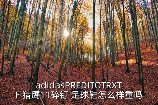 adidasPREDITOTRXTF 獵鷹11碎釘 足球鞋怎么樣重嗎