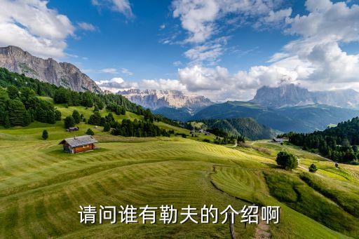 請(qǐng)問(wèn)誰(shuí)有勒夫的介紹啊