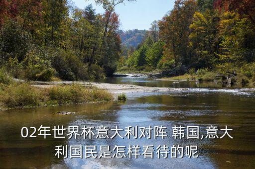 02年世界杯意大利對(duì)陣 韓國(guó),意大利國(guó)民是怎樣看待的呢