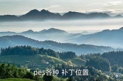 實(shí)況足球2015球場(chǎng)補(bǔ)丁