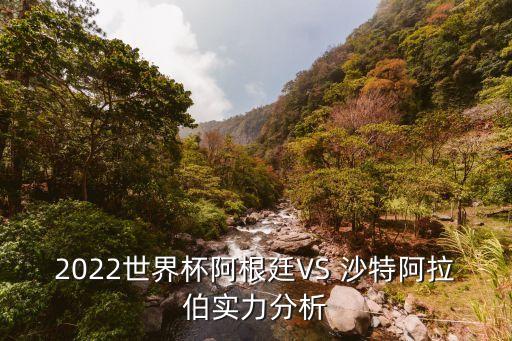 2022世界杯阿根廷VS 沙特阿拉伯實力分析