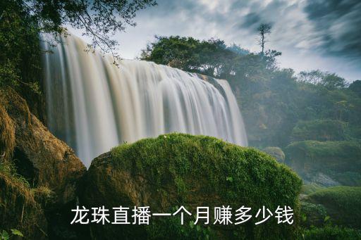 龍珠足球直播間平臺(tái),龍珠問(wèn)答直播間的小說(shuō)