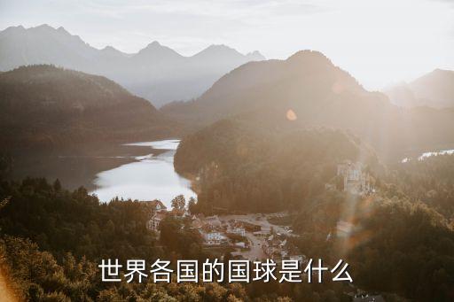 世界各國(guó)的國(guó)球是什么