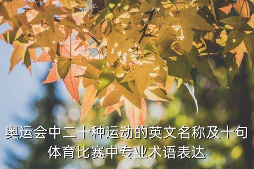 奧運會中二十種運動的英文名稱及十句體育比賽中專業(yè)術(shù)語表達