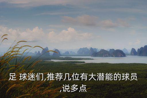 足 球迷們,推薦幾位有大潛能的球員,說多點(diǎn)