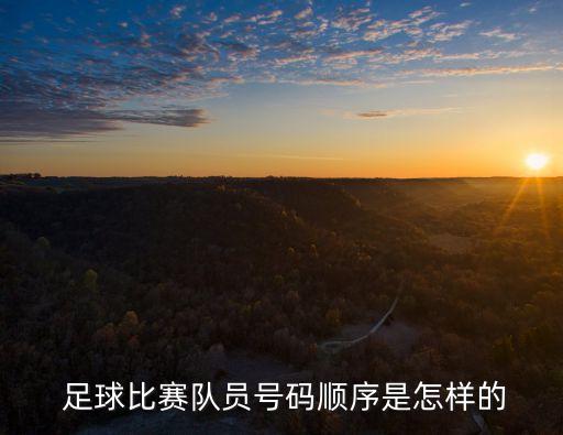  足球比賽隊(duì)員號碼順序是怎樣的