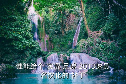 ps3 實況足球2013 補丁,PS3實況足球