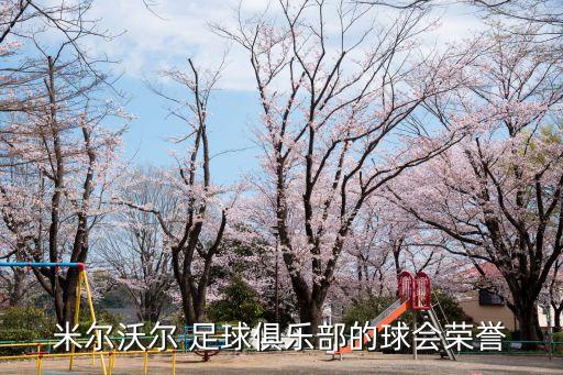 米爾沃爾 足球俱樂部的球會榮譽(yù)