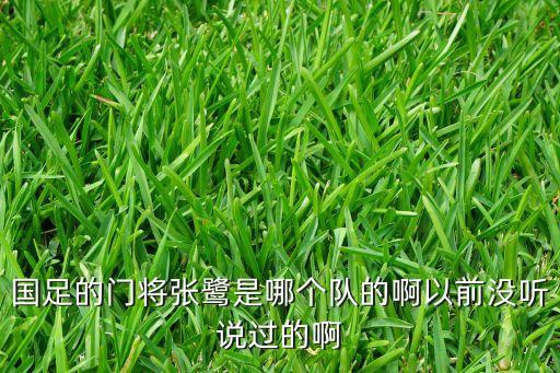 國(guó)足的門(mén)將張鷺是哪個(gè)隊(duì)的啊以前沒(méi)聽(tīng)說(shuō)過(guò)的啊