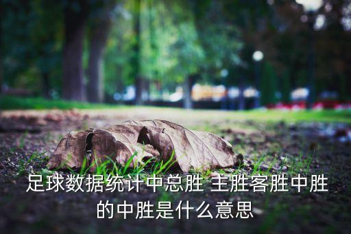  足球數(shù)據(jù)統(tǒng)計中總勝 主勝客勝中勝的中勝是什么意思