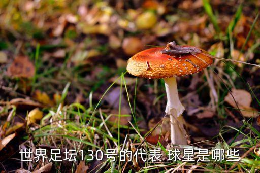 足球各時(shí)期球星,西班牙足球十大球星