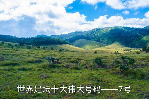 世界足壇十大偉大號碼——7號
