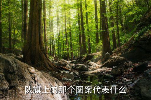 隊(duì)旗上的那個(gè)圖案代表什么