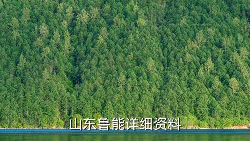 山東魯能詳細資料
