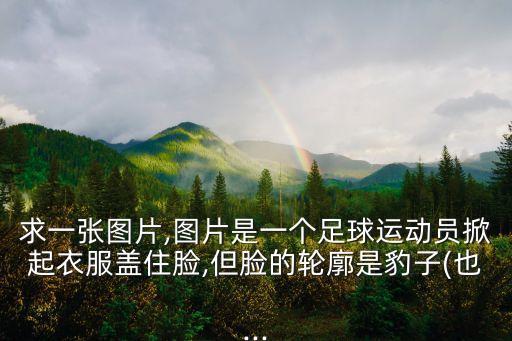 求一張圖片,圖片是一個(gè)足球運(yùn)動(dòng)員掀起衣服蓋住臉,但臉的輪廓是豹子(也...