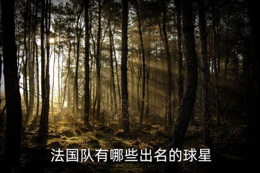 法國(guó)足球明星男,法國(guó)現(xiàn)役足球明星