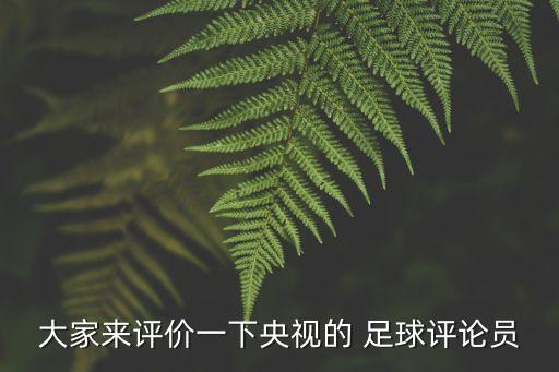 大家來評(píng)價(jià)一下央視的 足球評(píng)論員