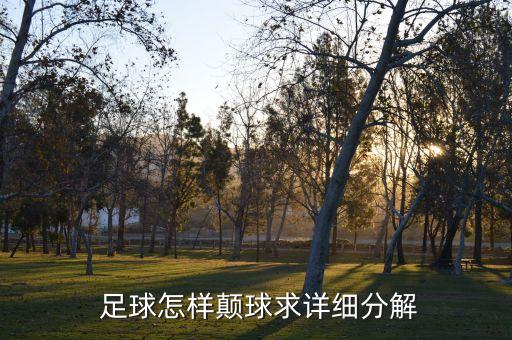  足球怎樣顛球求詳細(xì)分解