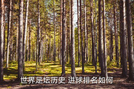 足球體育平均進球,足球平均進球率怎么如何計算